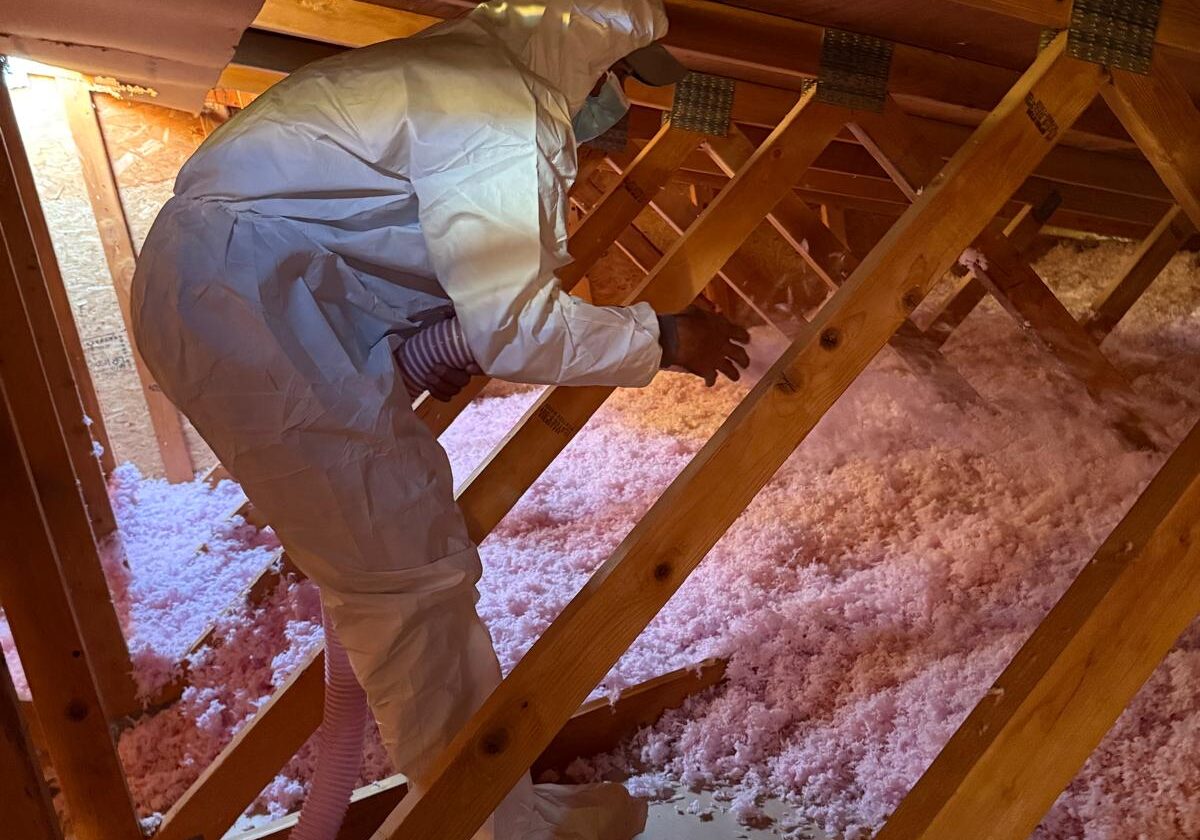 IMG-20251013-WA0068 (1)