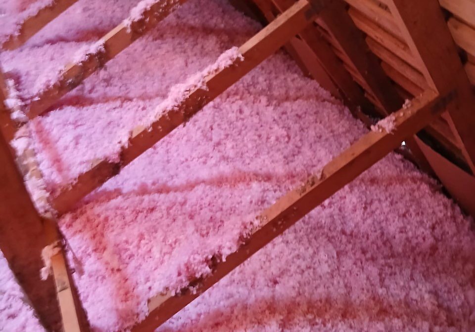 IMG_20250922_085212 (1)